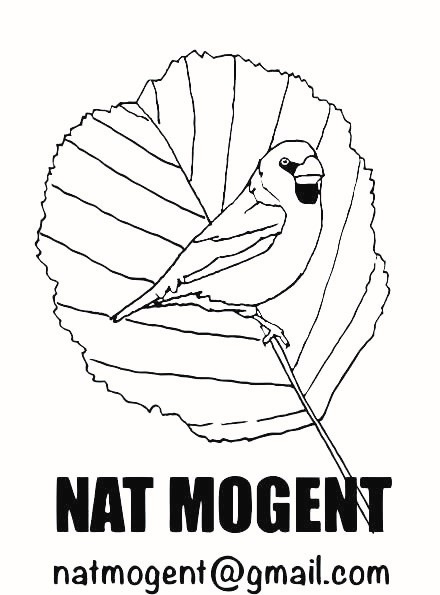 NAT MOGENT (Associació de Naturalistes del Mogent)