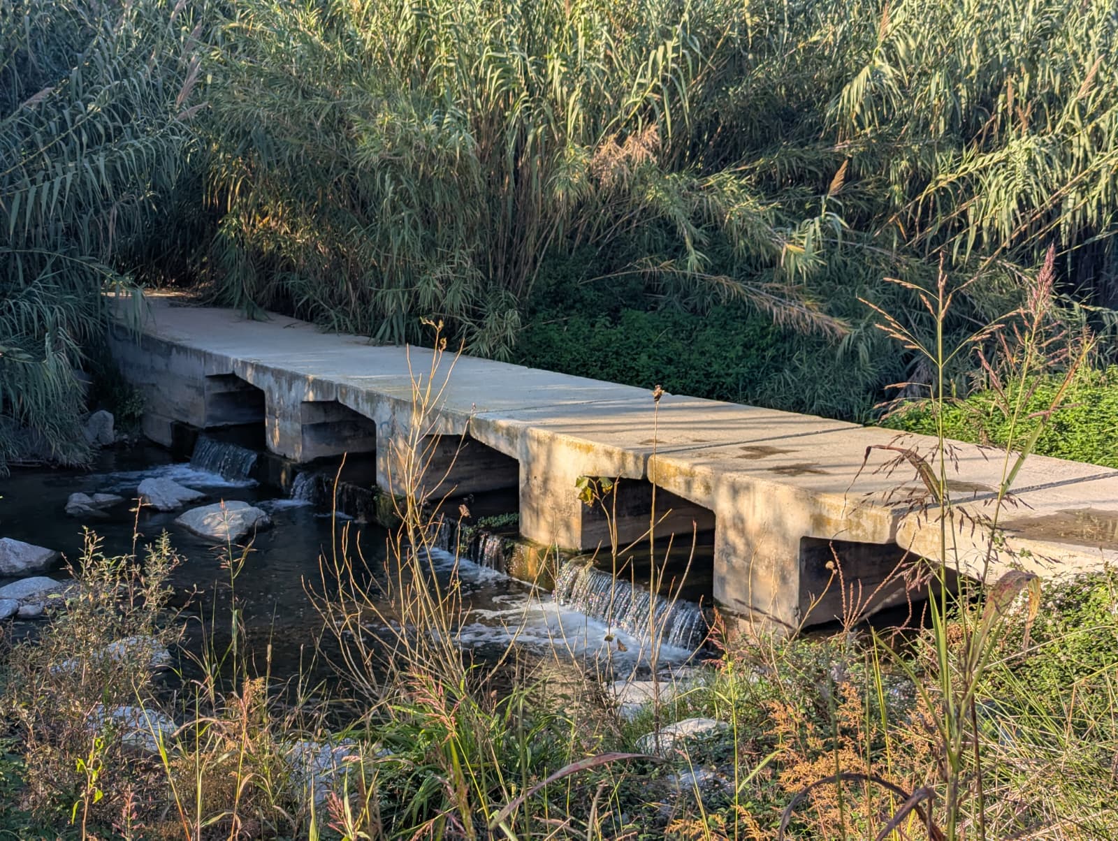 Nou contracte per netejar i cuidar els camins i passos dels rius del municipi