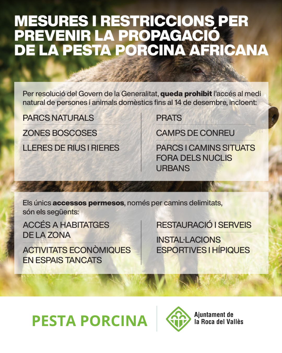 Mesures i restriccions per prevenir la propagació de la Pesta Porcina Africana